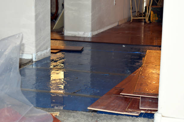 Professional Emergency Water Damage Restoration technician working in Courtland, AL